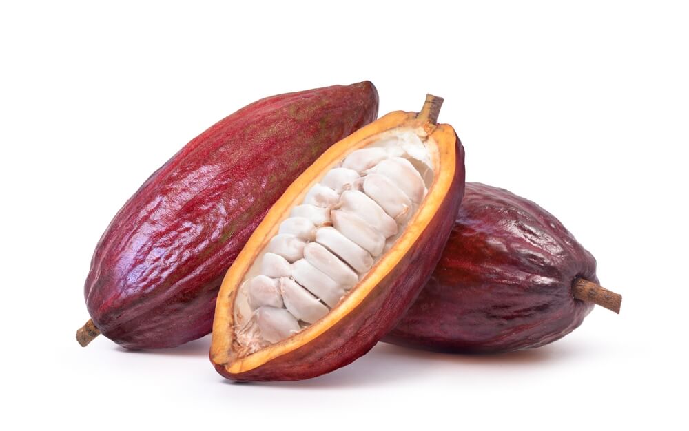 Trinitario cocoa